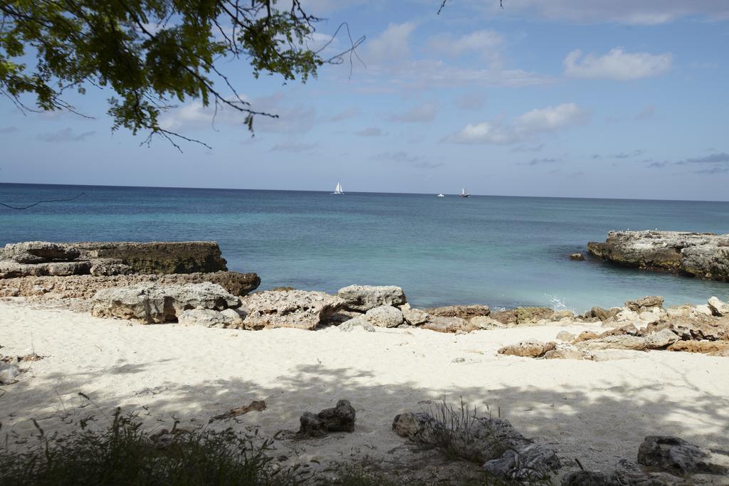 Villa Bougainvillea Aruba, The Tango Suite Palm Beach Ngoại thất bức ảnh