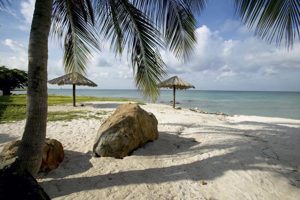 Villa Bougainvillea Aruba, The Tango Suite Palm Beach Ngoại thất bức ảnh